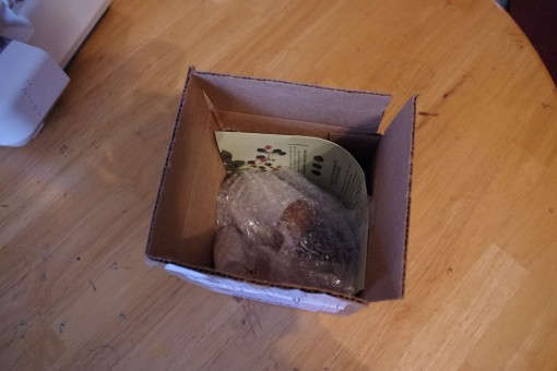 thesis beauty unboxing