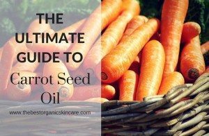 carrot seed oil benefits
