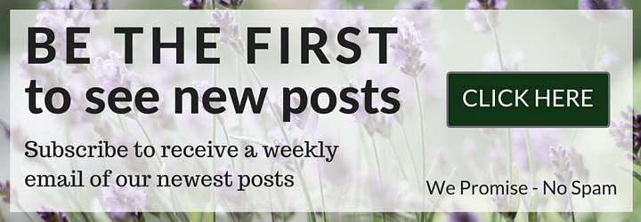 Be the First to see new Posts_