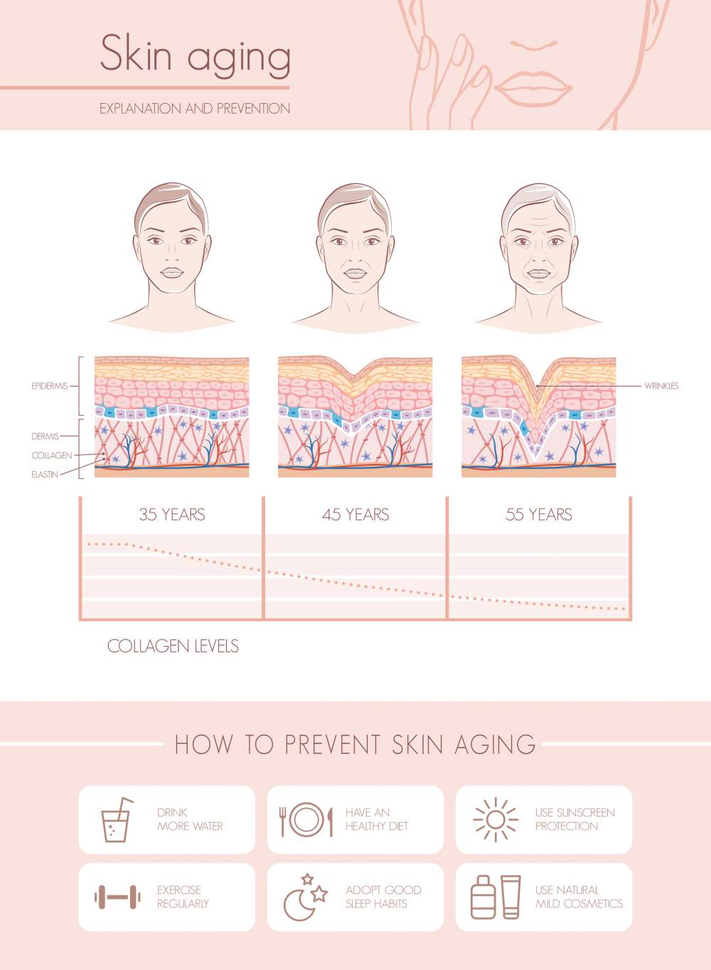 aging skin info
