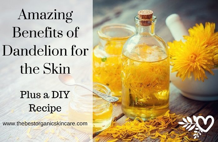 the benefits of dandelion for the skin