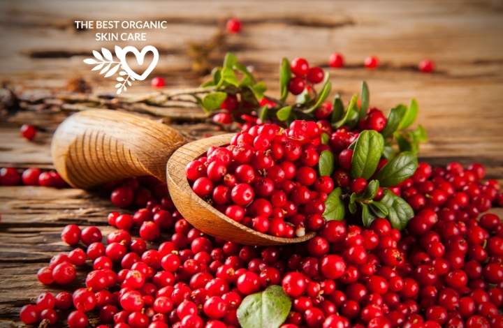 skin benefits of cranberry seed oil