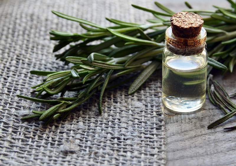 best face oils for acne - rosemary