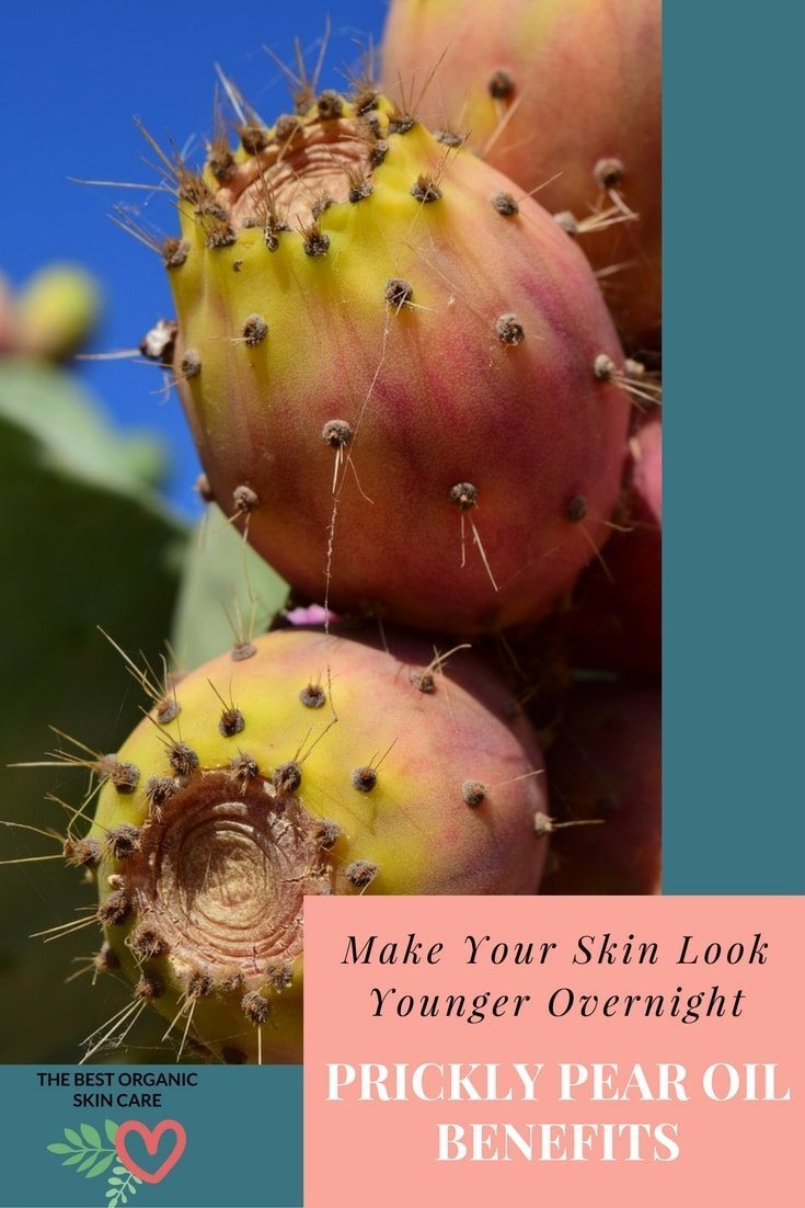 Prickly Pear Skin Benefits