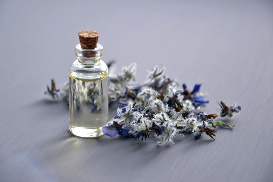 borage oil borage oil
