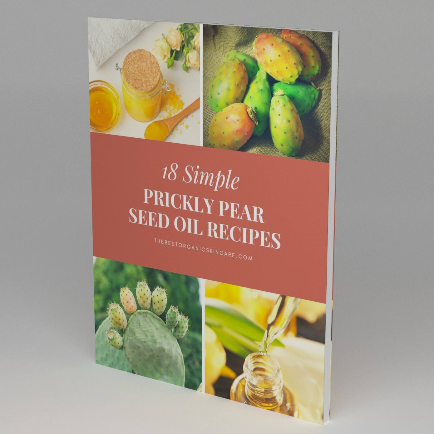 Prickly Pear Seed Oil Recipes Ebook 3D Cover Prickly Pear Seed Oil Recipes Ebook 3D Cover