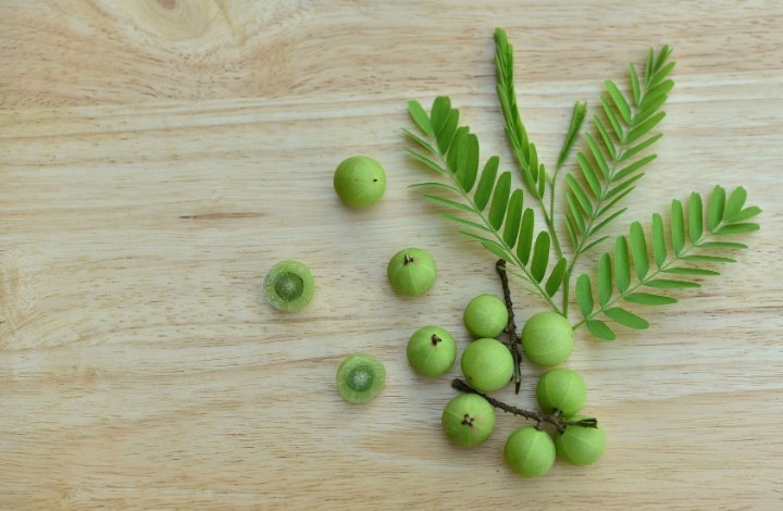 Emblica officinalis oil Emblica officinalis