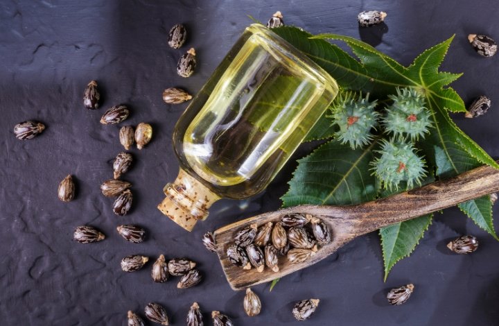 Ricinus communis oil Ricinus communis