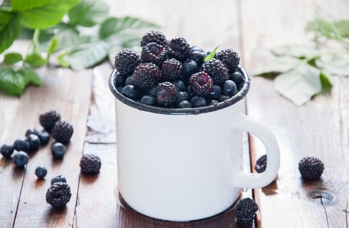 black raspberry black raspberry seed oil