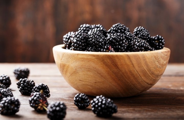 blackberry seed oil blackberry seed oil