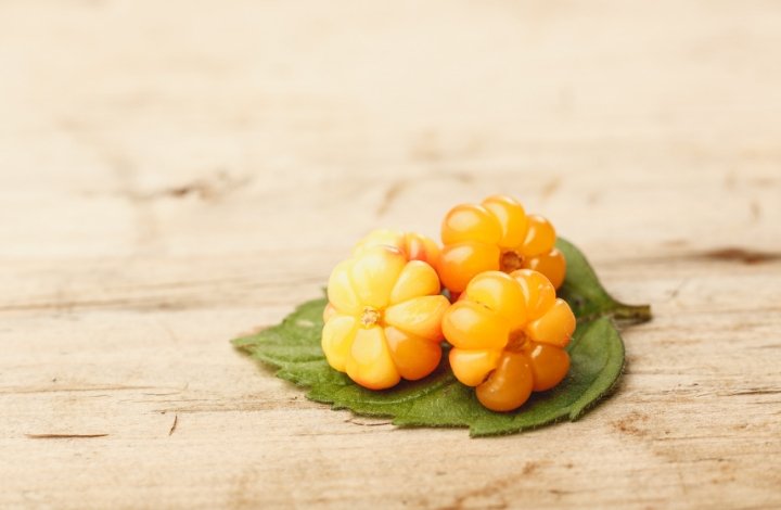 cloudberry seed oil cloudberry seed oil