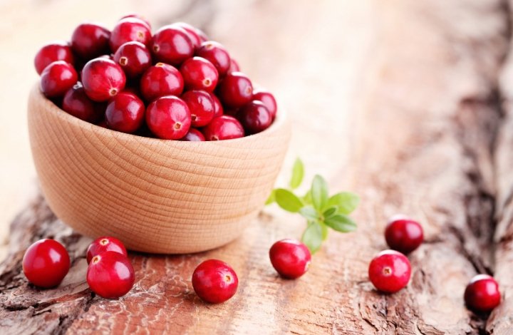 cranberry seed oil cranberry seed oil