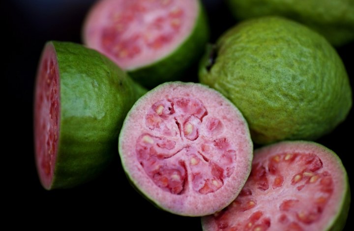 guava seed guava seed