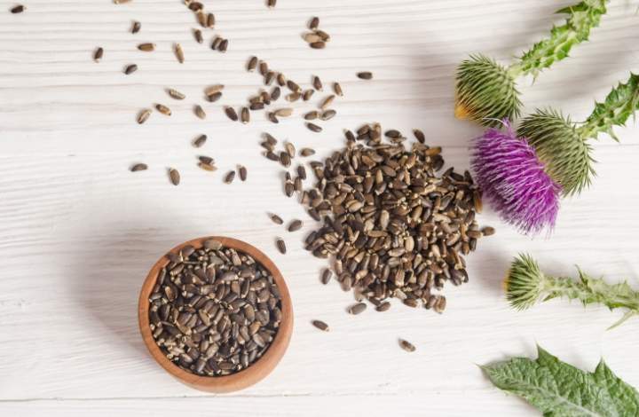 milk thistle milk thistle