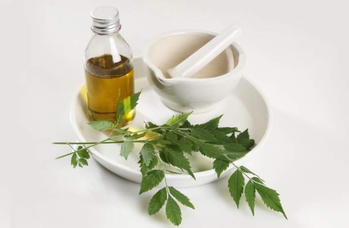 neem seed oil neem seed oil