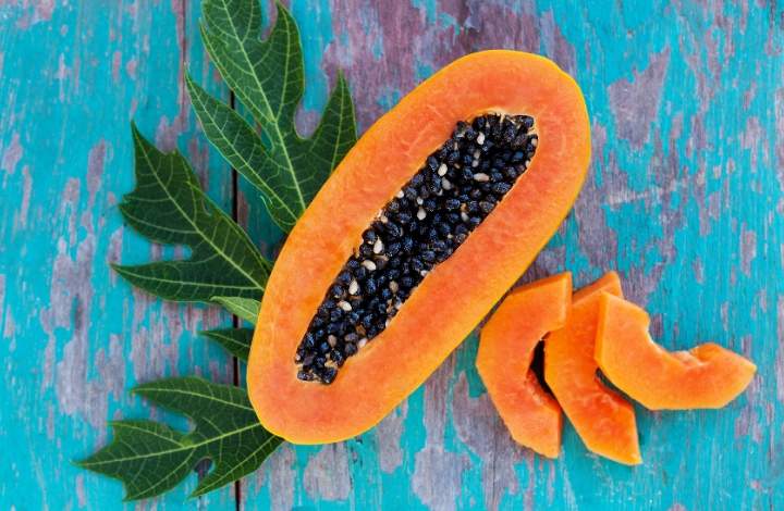 papaya seed papaya seed