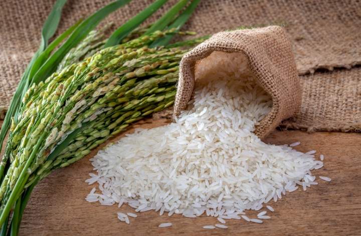 rice rice