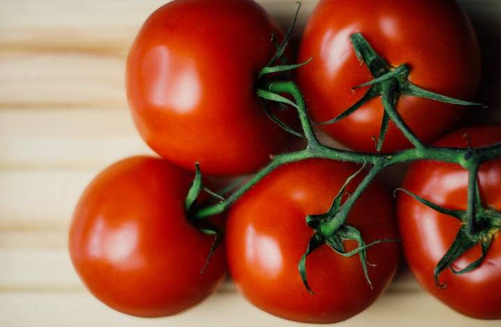 tomatoes tomatoes