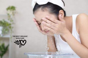 best organic face cleansers for dry skin