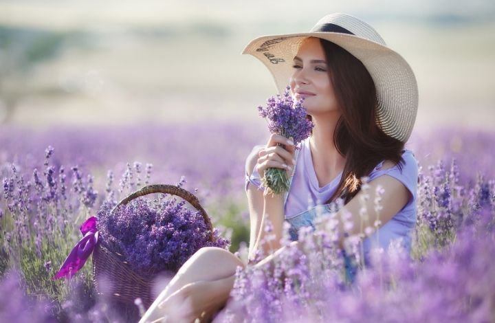 lavender hand soap recipe