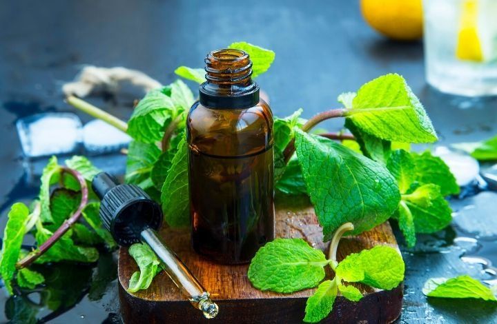 peppermint essential oil hand soap recipe