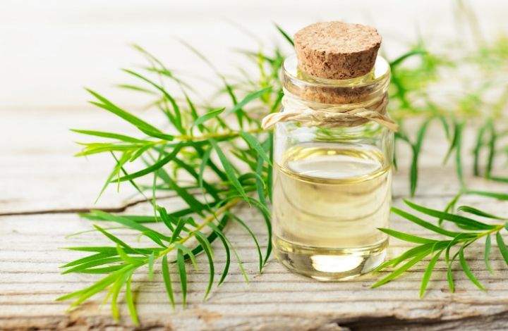 tea tree oil acne treatment