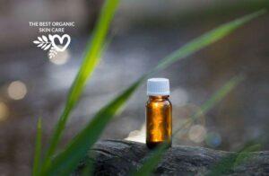 best essential oils for bug bites