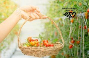 tomato seed oil benefits for the skin