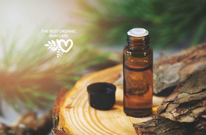Pine Bark Extract Benefits For The Skin