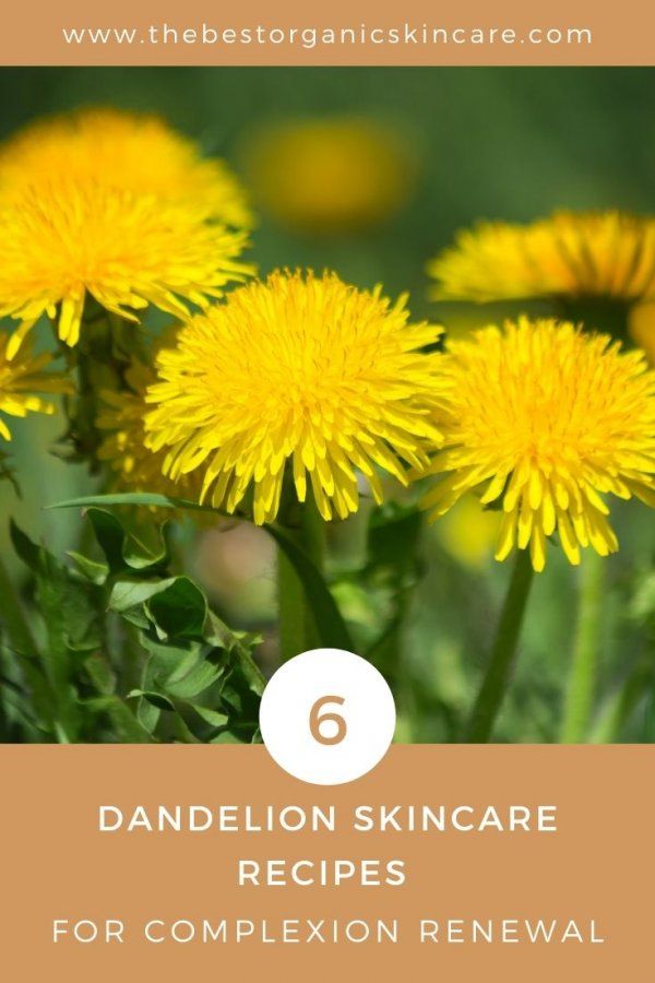 6 dandelion skincare recipes