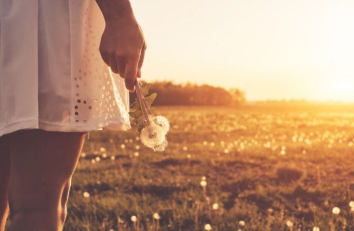 dandelion recipes for the skin