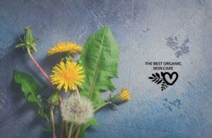 dandelion skin care recipes