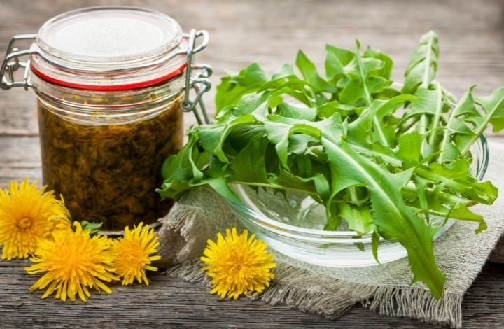 dandelion skincare recipes