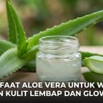 7 Manfaat Aloe Vera untuk Wajah, Bikin Kulit Lembap dan Glowing