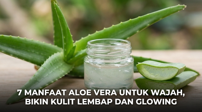 7 Manfaat Aloe Vera untuk Wajah, Bikin Kulit Lembap dan Glowing