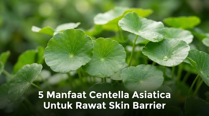 5 Manfaat Centella Asiatica Untuk Rawat Skin Barrier